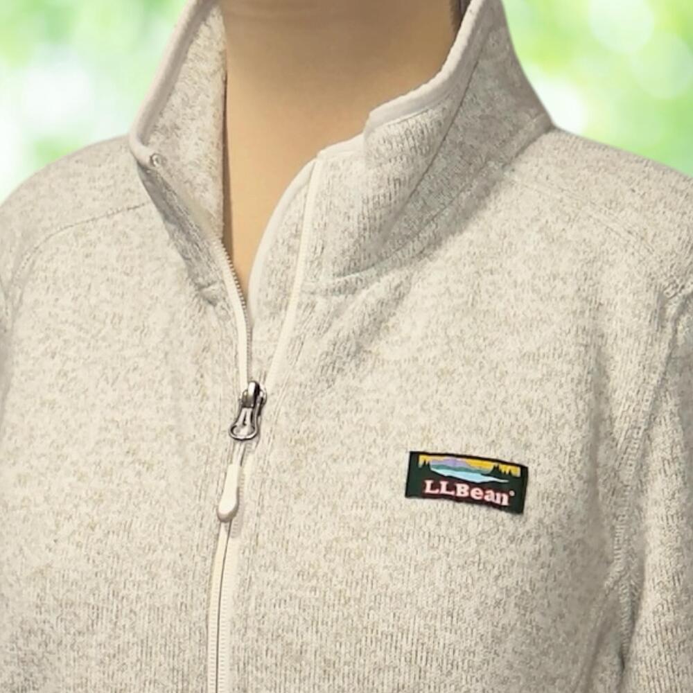 LL BEAN Sweater Fleece Jacket Full Zip Better Sweater Stand Collar Zip Pockets L - Picture 2 of 13